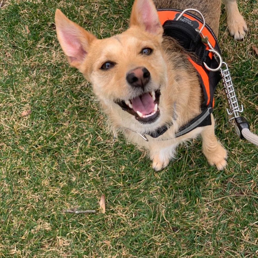 Meet your Posher, Jaeden